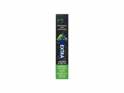 Fume Blueberry Mint size Extra disposable vape device box